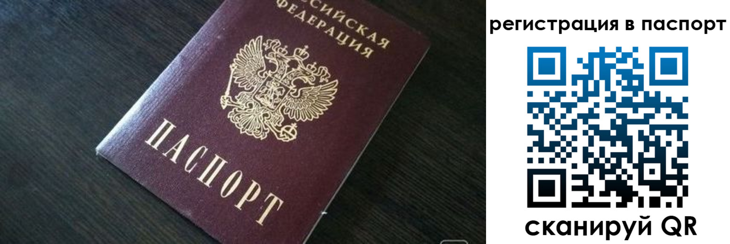 прописка в квартире в Почепе
